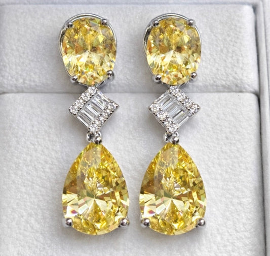 VVS Clarity Earrings