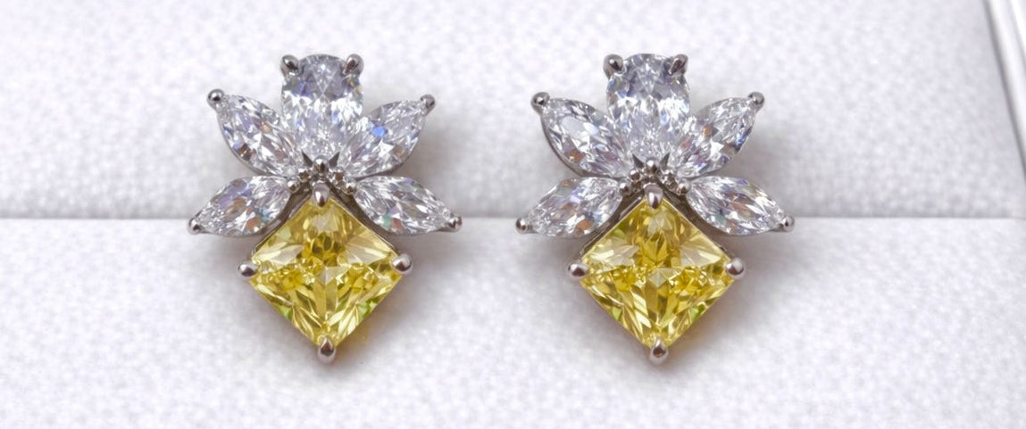 VVS Clarity Earrings Studs