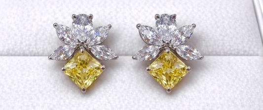 VVS Clarity Earrings Studs