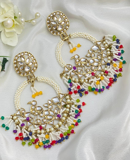 Multi Colored Earrings