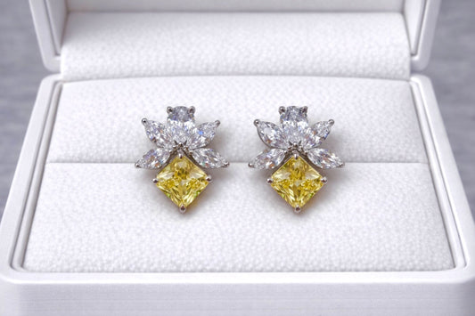 VVS Clarity Earrings Studs