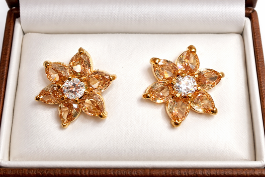 Sitara Earrings Studs