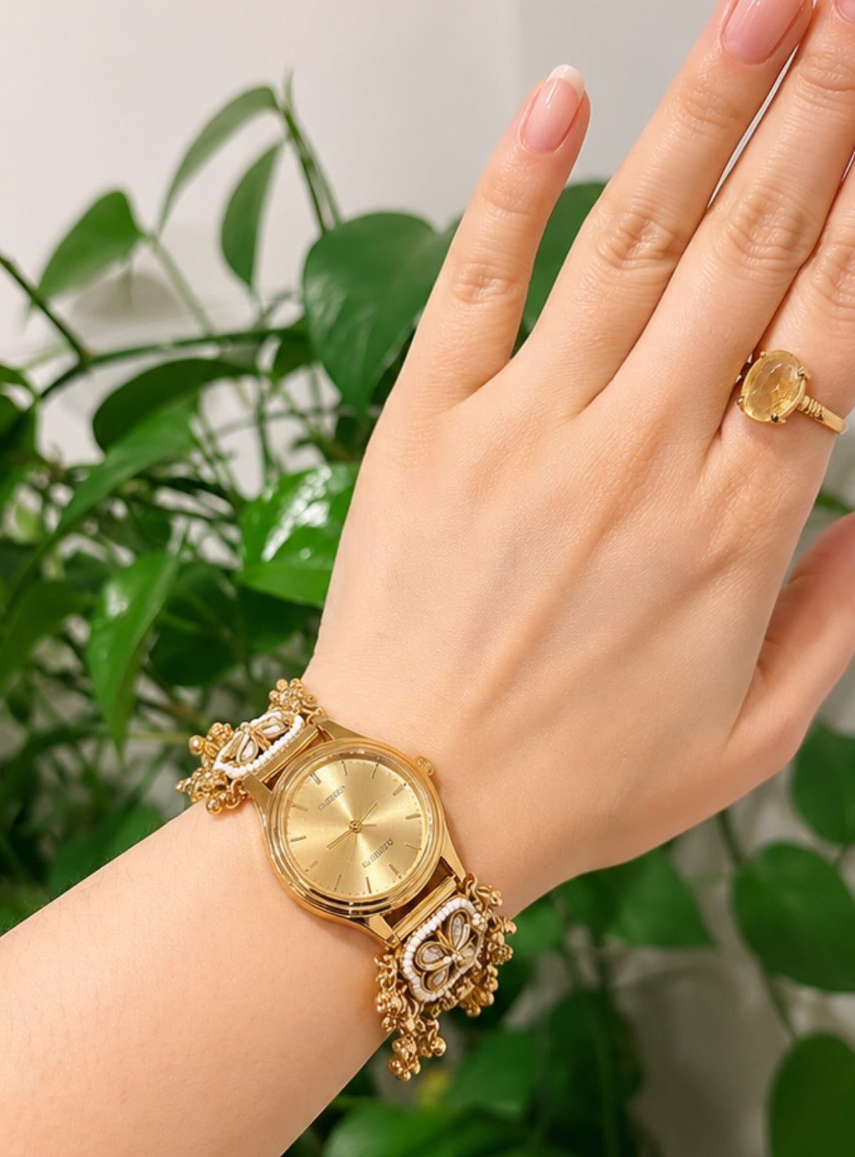 Krishma Heritage Watch